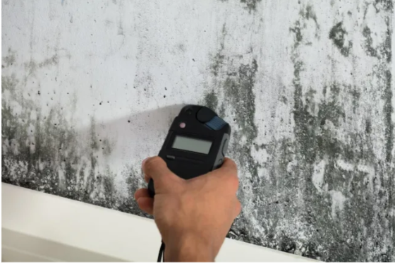 5 Major Advantages of Timely Mold Inspection